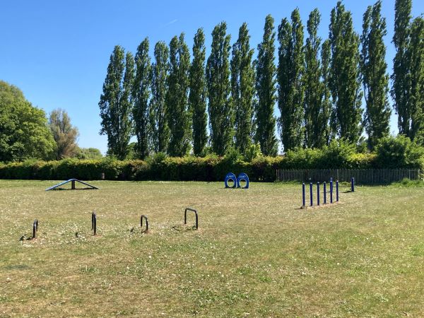 Dog agility area