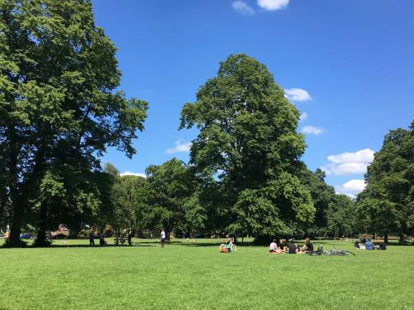 Pearson Park in the sun