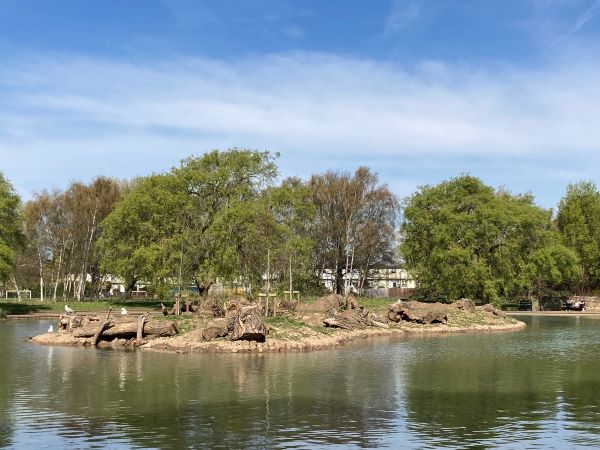 Peter pan park pond island